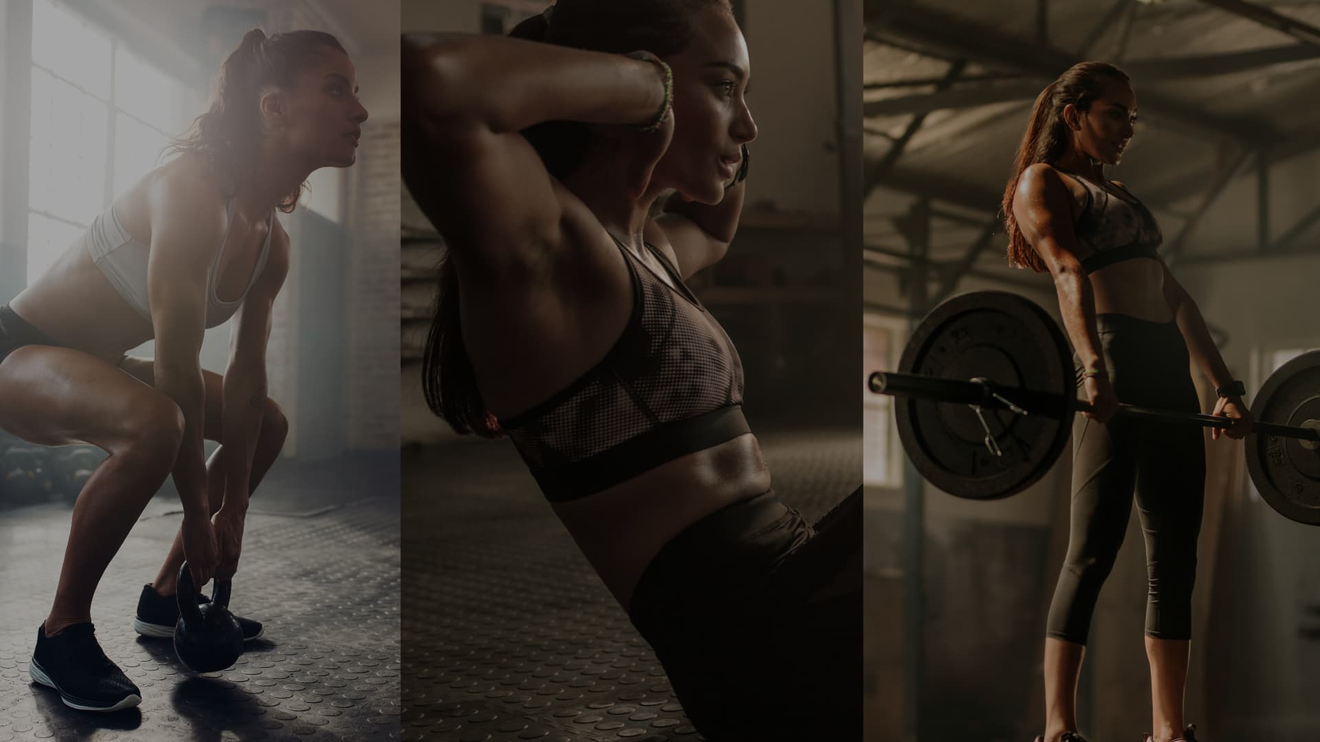 Track your fitness journey with Fitevers app dashboard